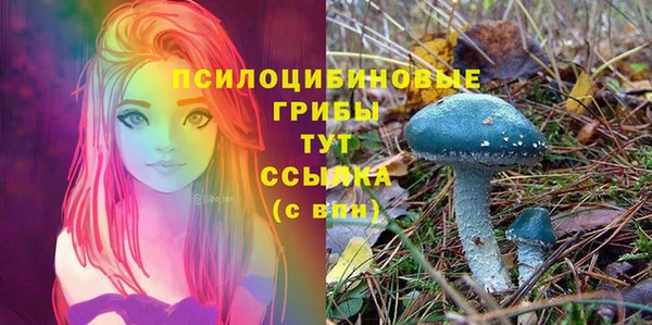 дмт Гусь-Хрустальный