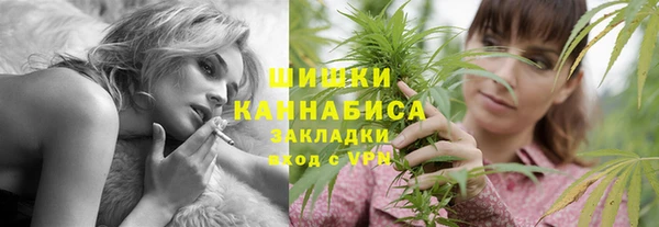 сатива Гусев