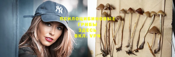 Альфа ПВП Фурманов