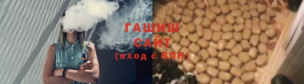 сатива Гусев