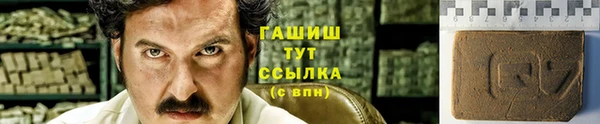сатива Гусев