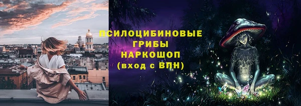 дмт Гусь-Хрустальный