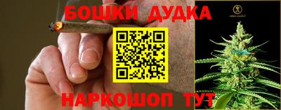гидра Балашиха