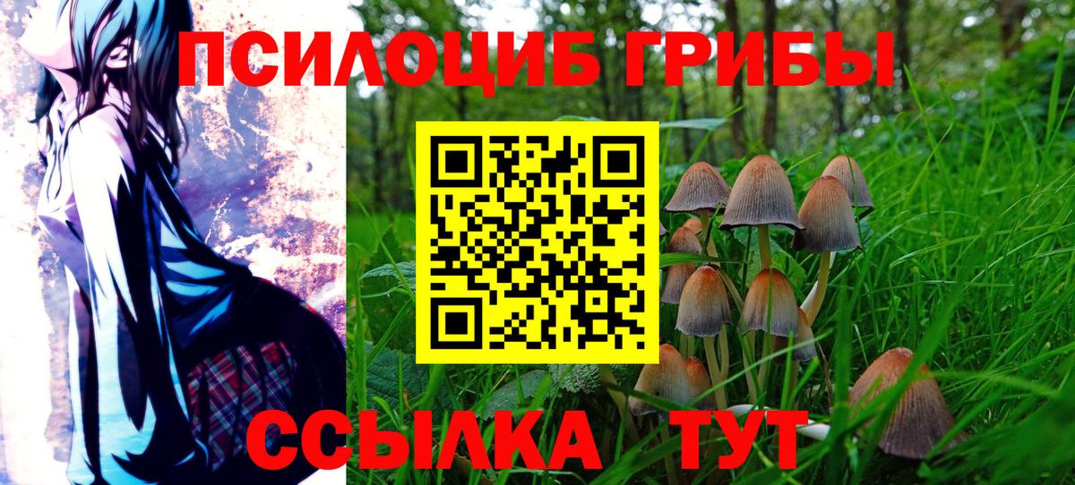 Псилоцибиновые грибы GOLDEN TEACHER Десногорск