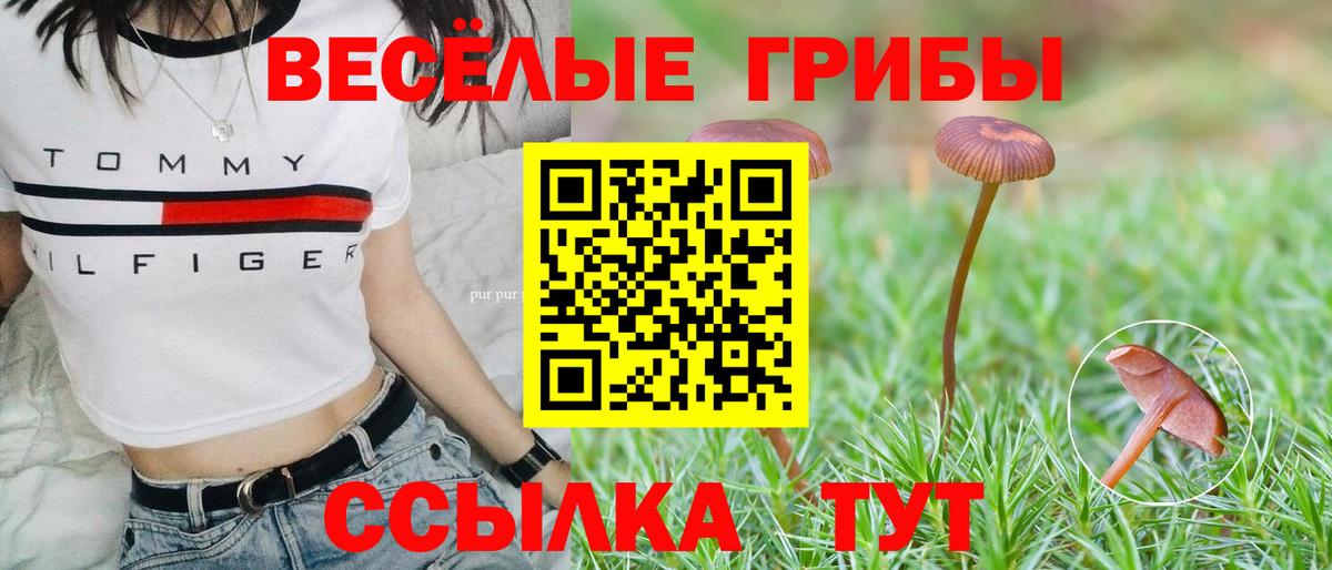 Десногорск  Псилоцибиновые грибы GOLDEN TEACHER  Вход с VPN 