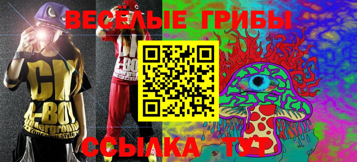 Галлюциногенные грибы Psilocybe Десногорск