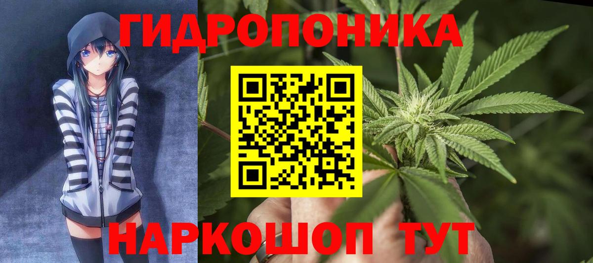 Бошки марихуана OG Kush Десногорск